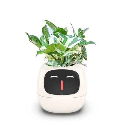 🌿 NexaGrow Smart Planter
