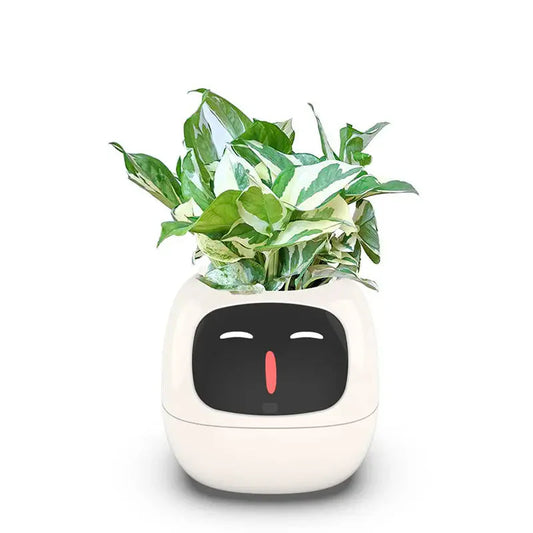 🌿 NexaGrow Smart Planter