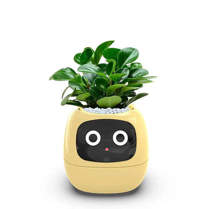 🌿 NexaGrow Smart Planter