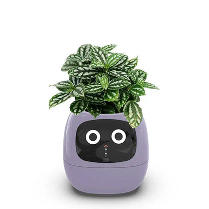 🌿 NexaGrow Smart Planter